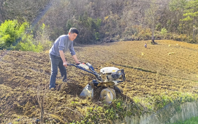 烟农使用小型农机进行翻耕作业。