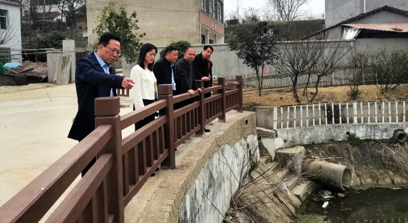 湖北省团风县审计局一行到该县总路咀镇双河口村开展乡村振兴结对帮扶调研现场。