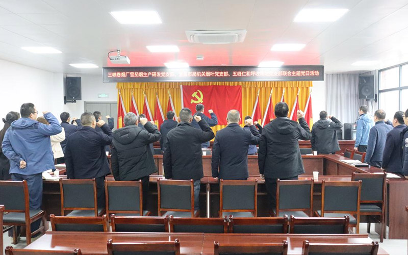 全体党员重温入党誓词