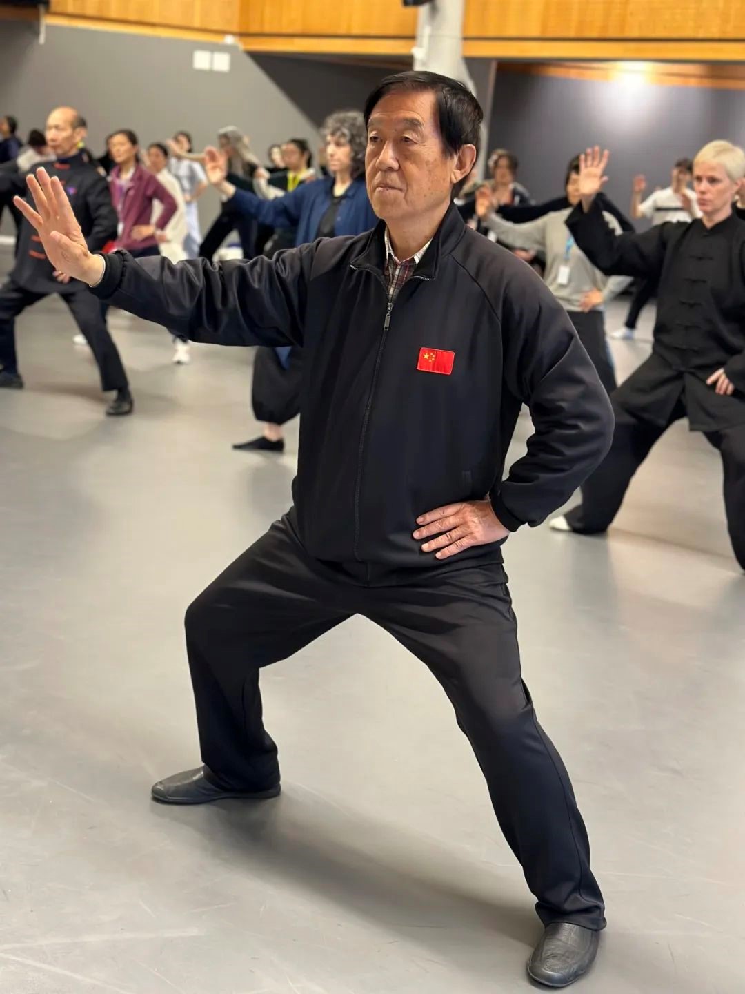 中国陈家沟陈氏太极拳第十一代传人陈正雷教授太极拳。斯德哥尔摩中国文化中心供图