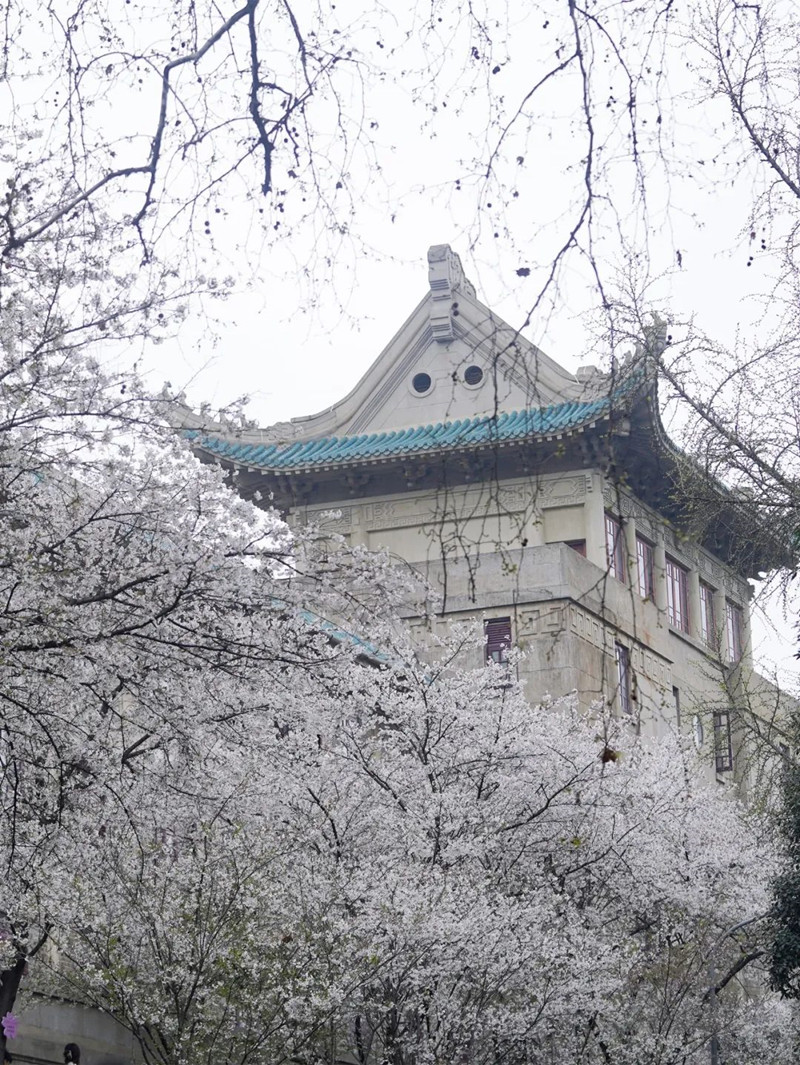 武汉大学。