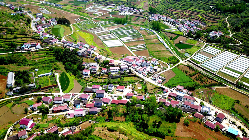 郧阳区谭家湾镇五道岭村（曹忠宏摄）
