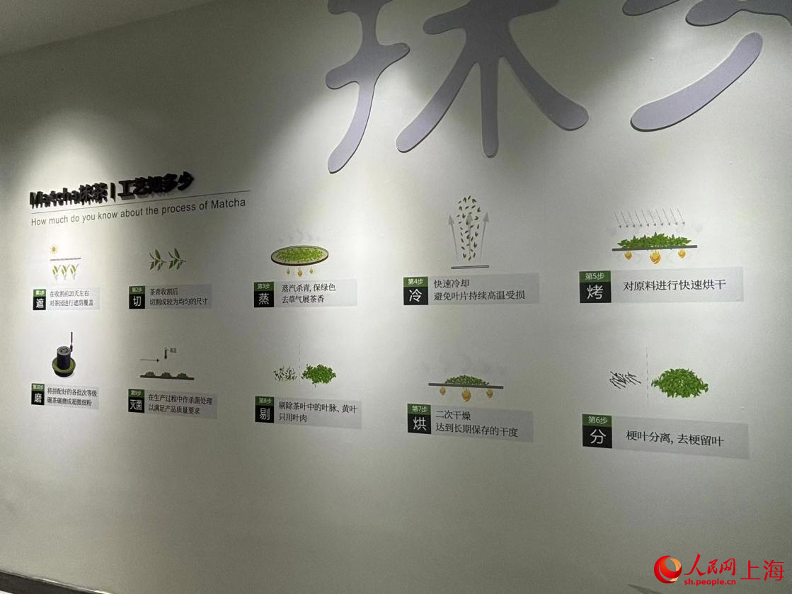 抹茶制作工艺。人民网记者 董志雯摄