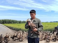 [field:title/]