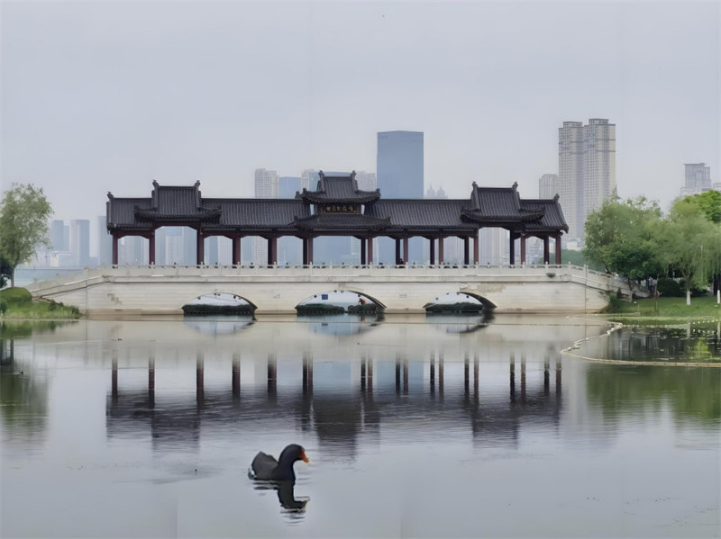 美丽的沙湖公园