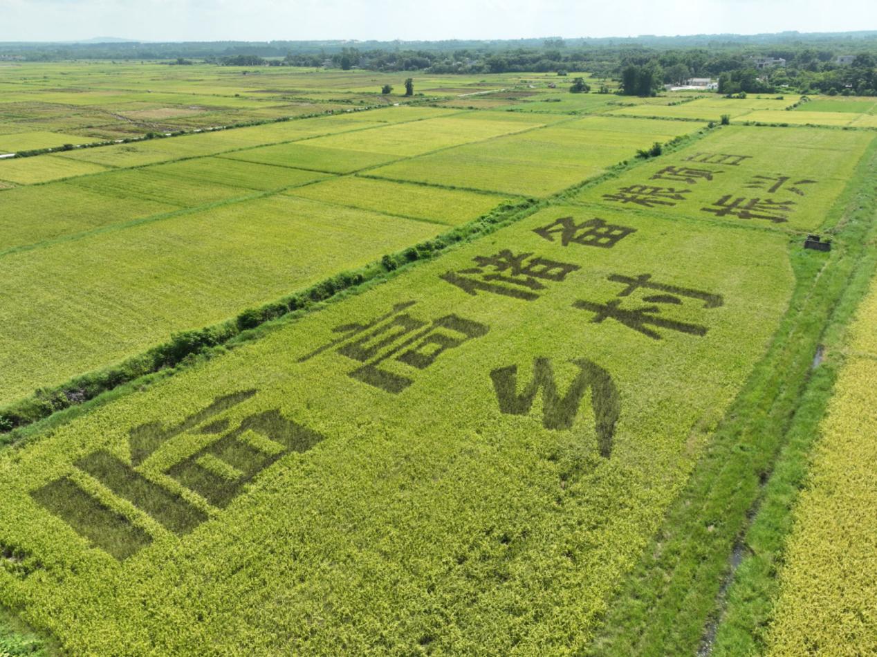 鍌ㄥ囩伯椤圭洰瀹炴柦锛屽姪鍔涗埂鏉戞尟鍏淬傚彈璁胯呬緵鍥