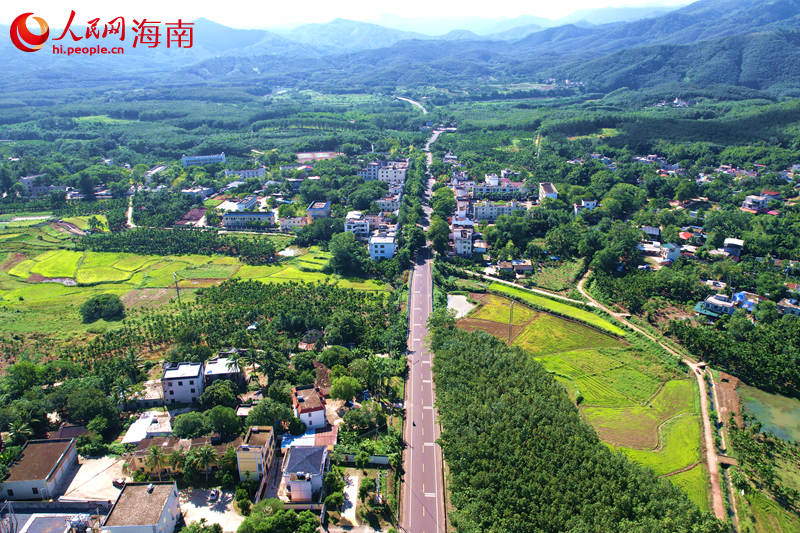 红旗村。 人民网记者 孟凡盛摄