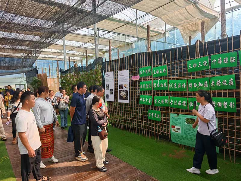 博后村村民前往山东和浙江开展实地学习。博后村党总支供图