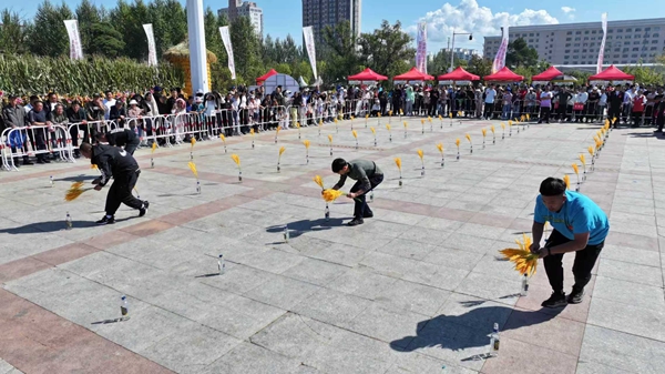 农民运动会