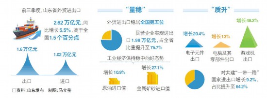□资料:山东发布 制图:马立莹